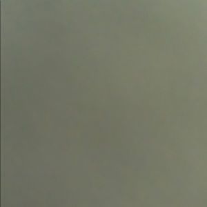 Meet your Posher, Payton